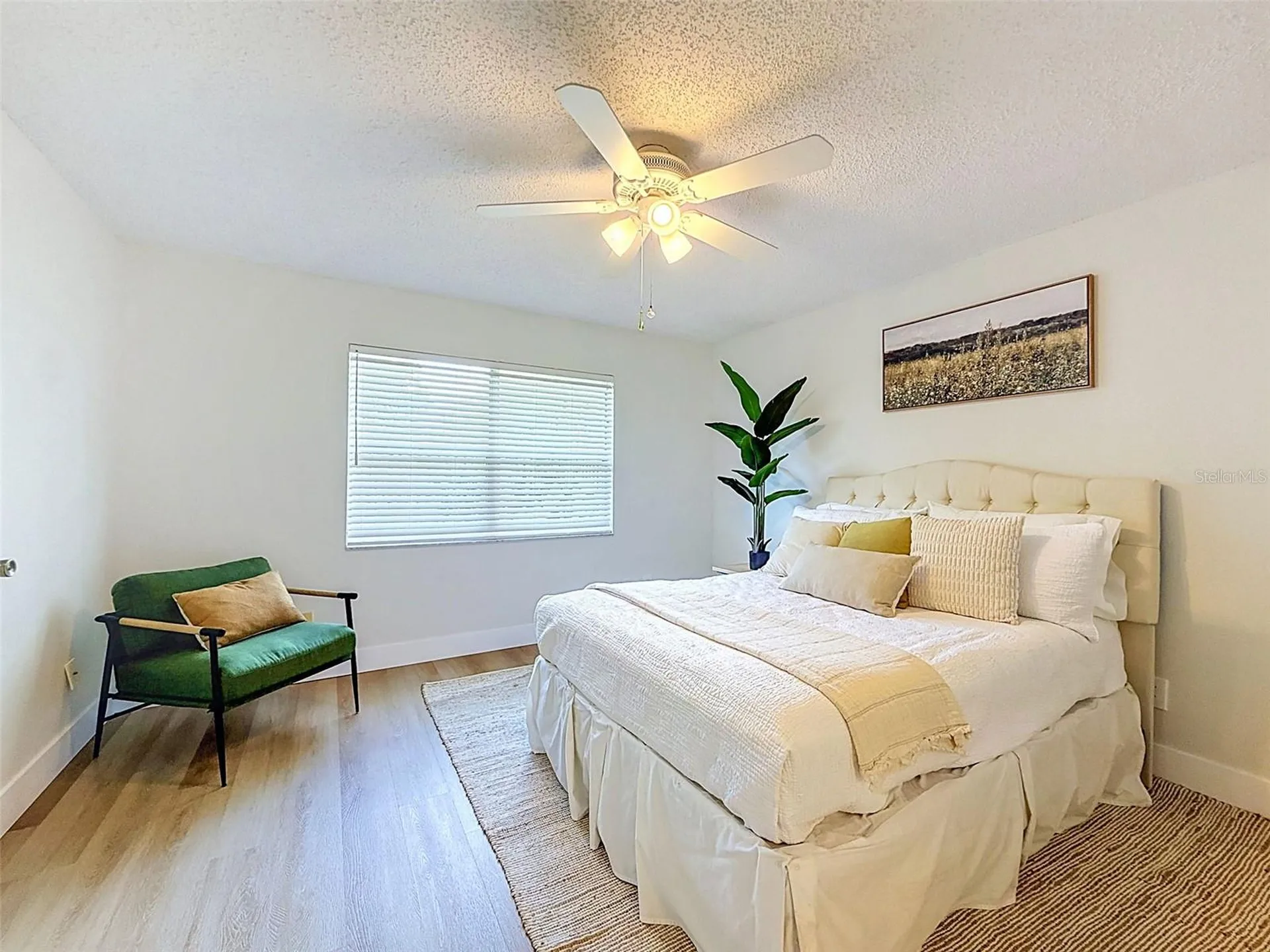 826 Franklin Circle Palm Harbor FL 34683