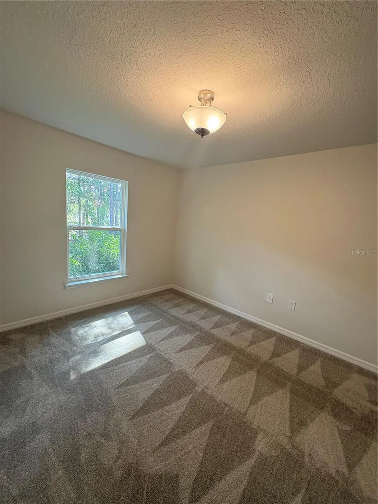 2377 W Menores Drive Citrus Springs FL 34434