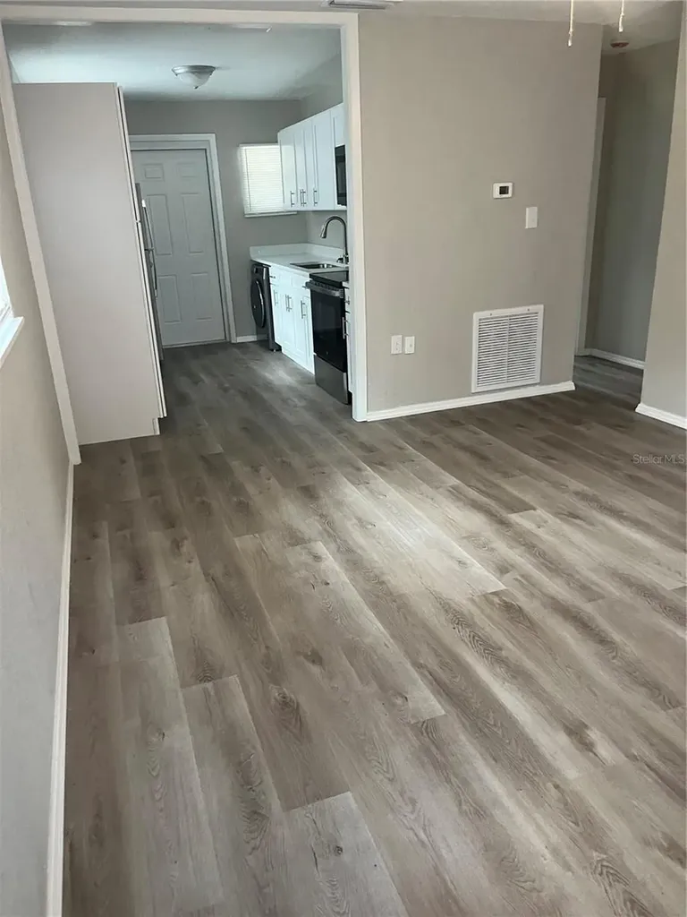 1422 N Tremain Street Mount Dora FL 32757