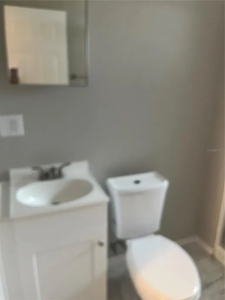 1422 N Tremain Street Mount Dora FL 32757