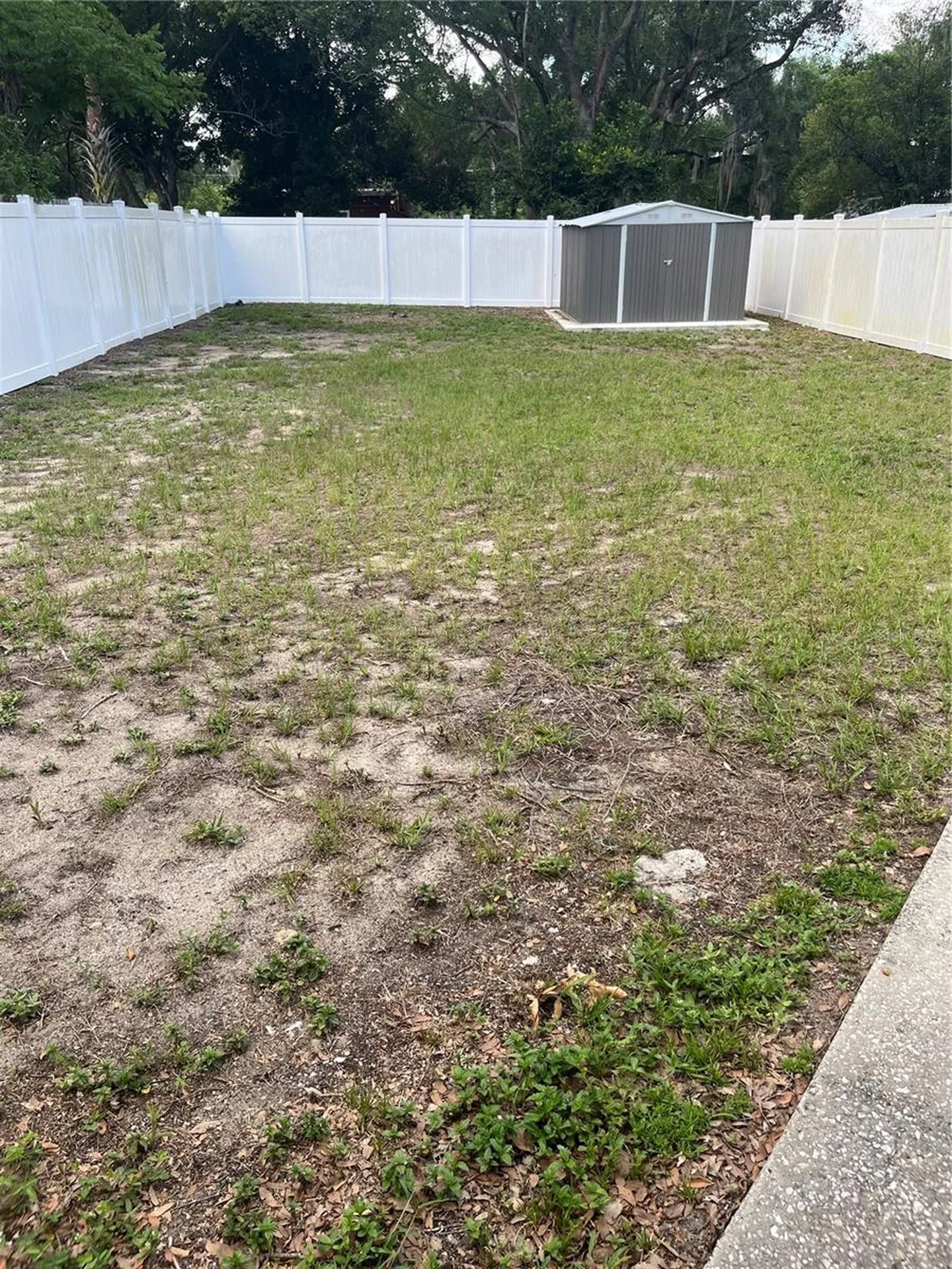 1422 N Tremain Street Mount Dora FL 32757