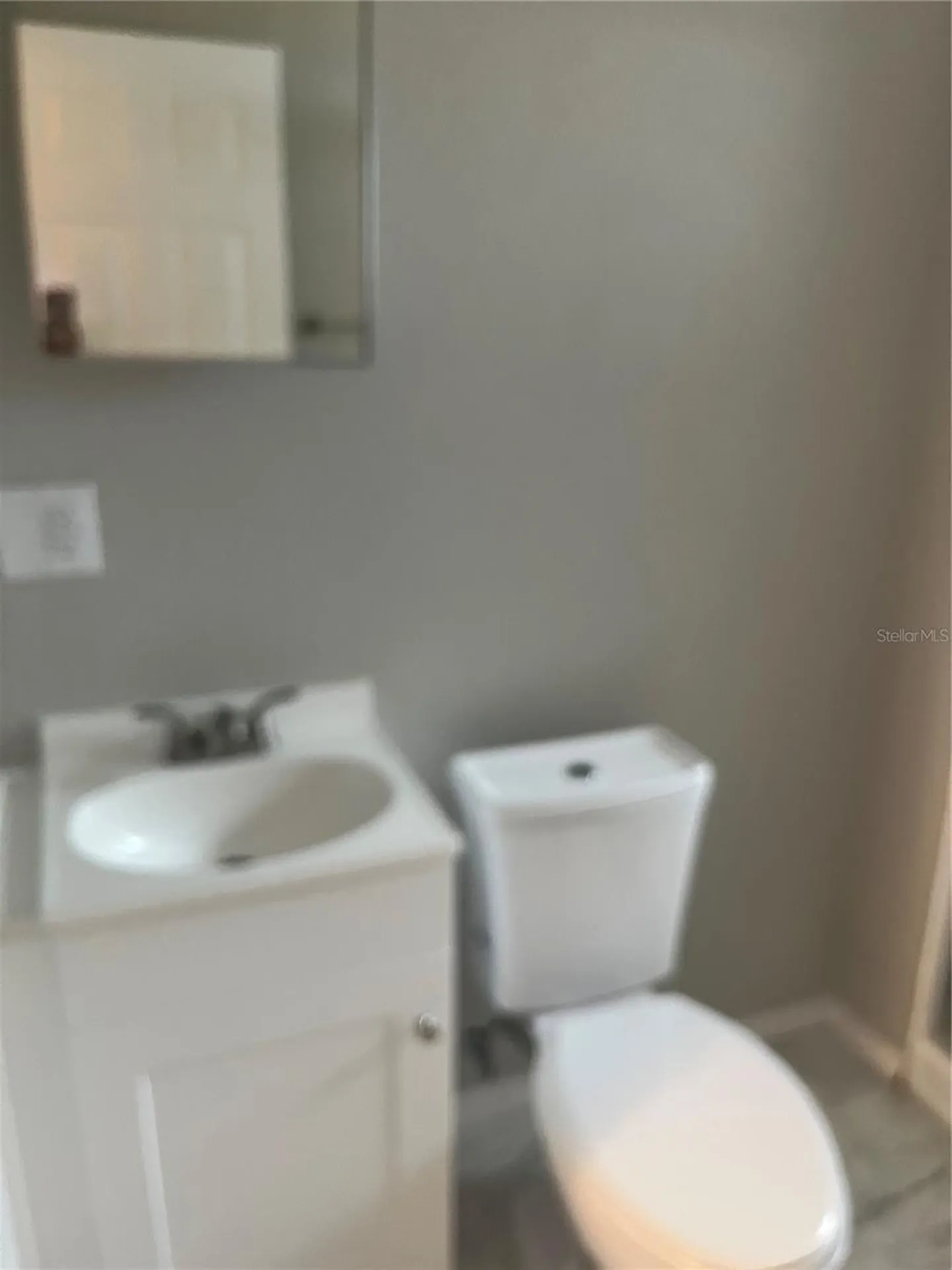 1422 N Tremain Street Mount Dora FL 32757