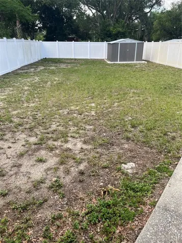 1422 N Tremain Street Mount Dora FL 32757