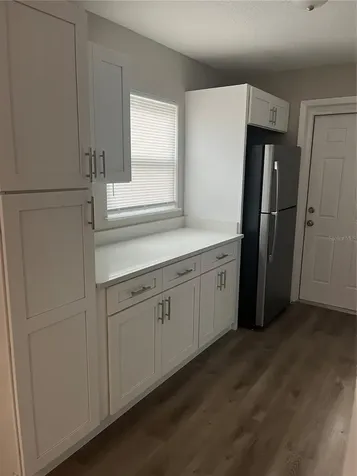 1422 N Tremain Street Mount Dora FL 32757