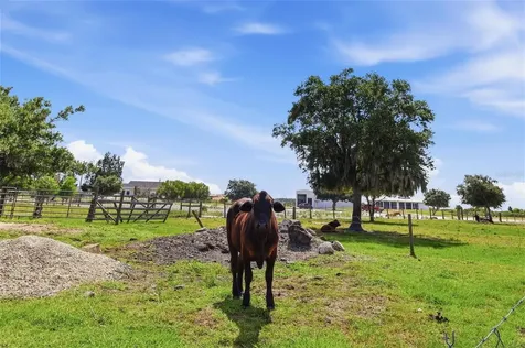 13105 Mj Road Myakka City FL 34251