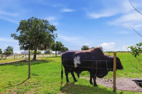 13105 Mj Road Myakka City FL 34251