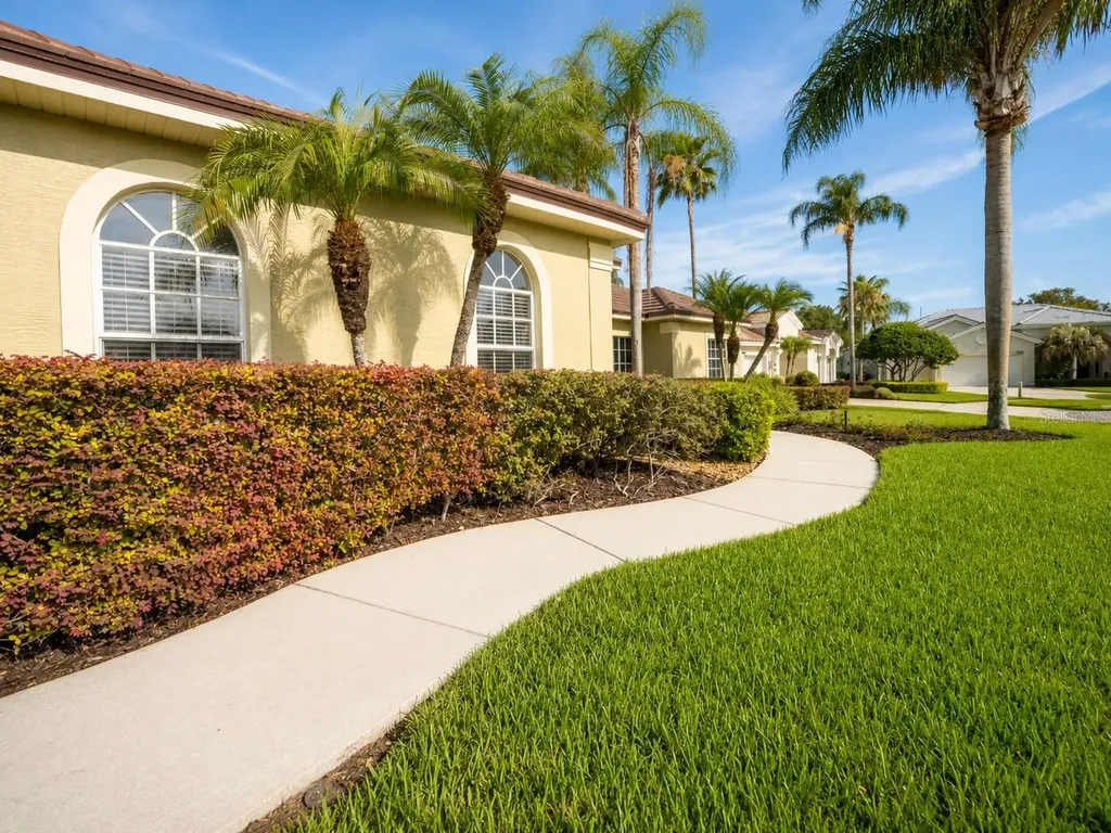 1215 Omeara Court New Port Richey FL 34655