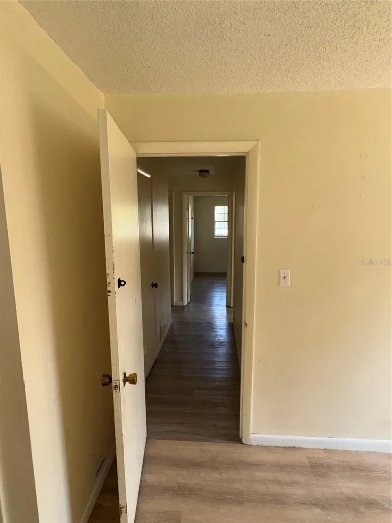 907 Hyland Springs Drive Ocoee FL 34761