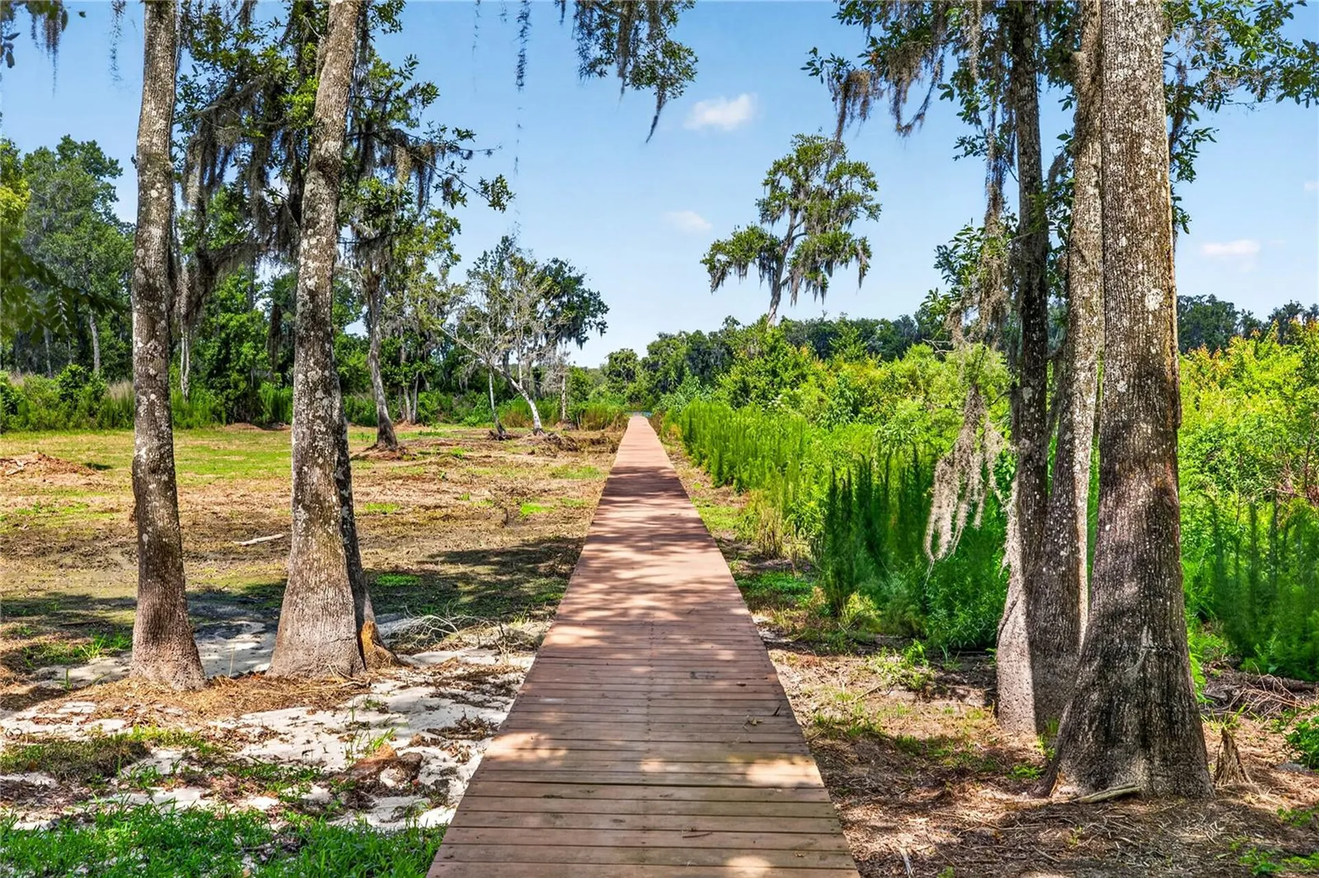 17265 Meadow Bluff View Dade City FL 33523