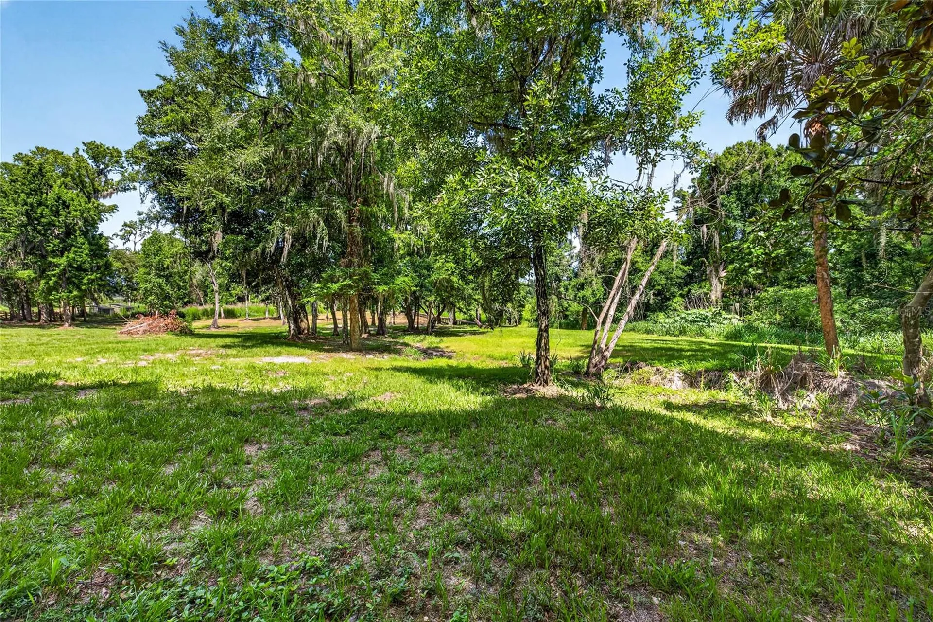 17265 Meadow Bluff View Dade City FL 33523