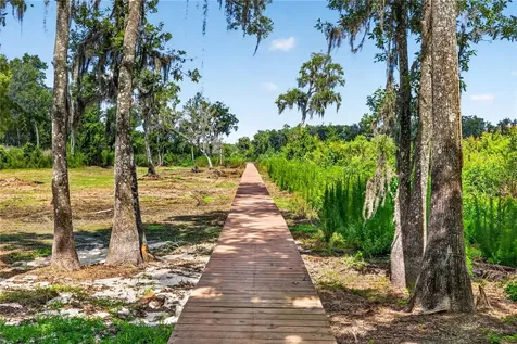 17265 Meadow Bluff View Dade City FL 33523