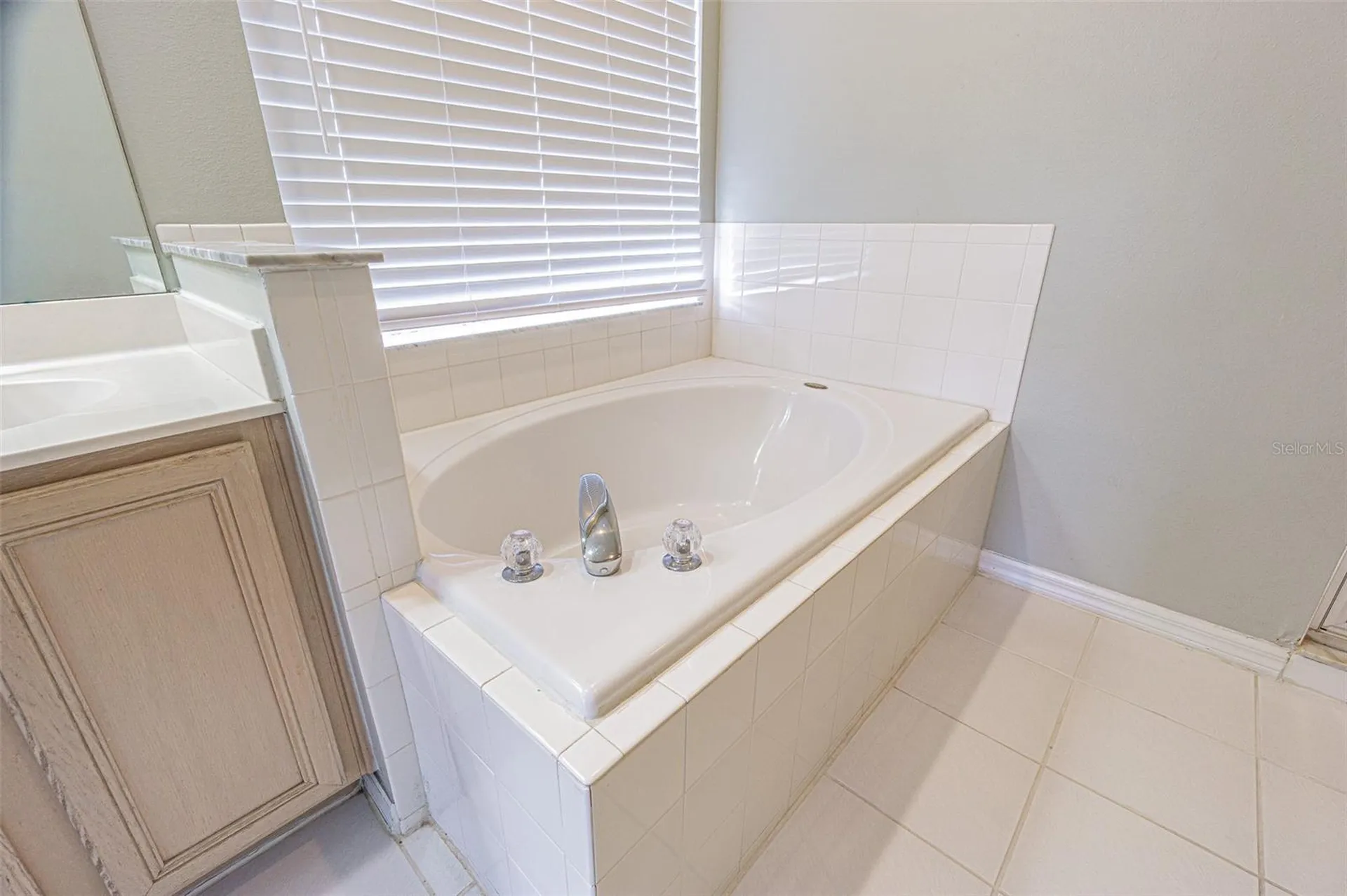 1550 Maximilian Drive Wesley Chapel FL 33543