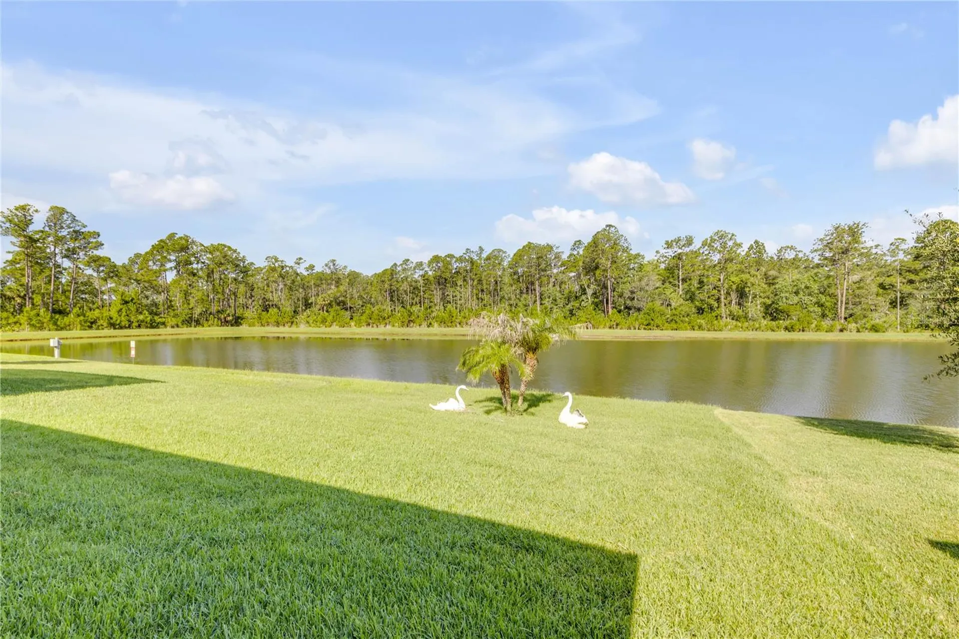 206 Caryota Court New Smyrna Beach FL 32168