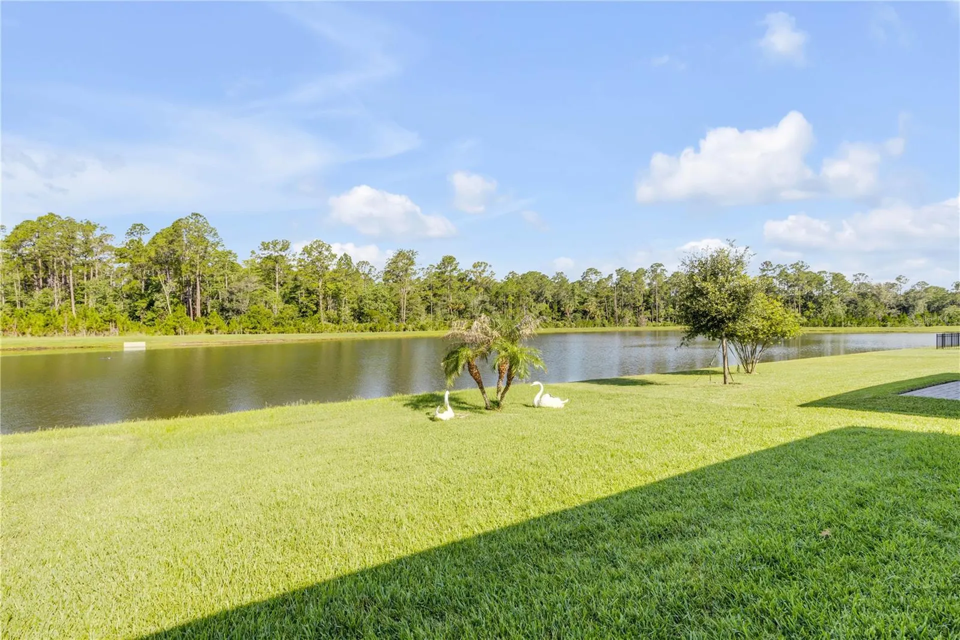 206 Caryota Court New Smyrna Beach FL 32168