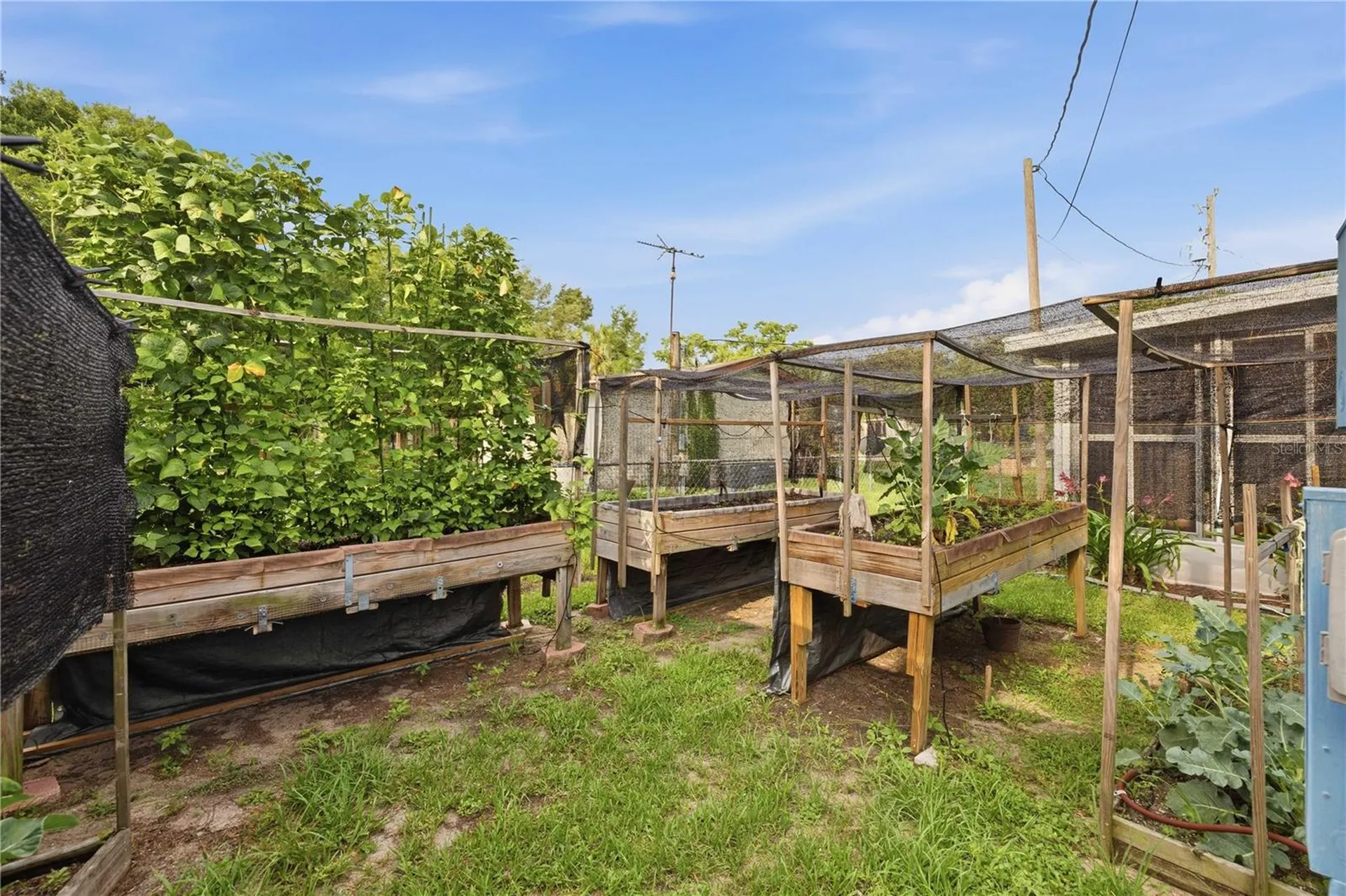 14121 SE 91st Court Summerfield FL 34491