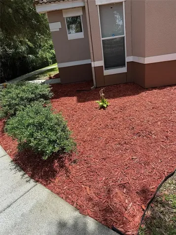 18138 Villa Creek Drive Tampa FL 33647