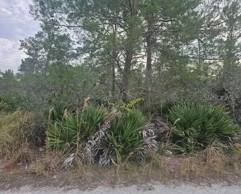 2225 Algonquin Drive Sebring FL 33875