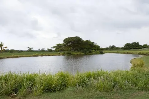 PR-713 Km 2.5 Cond. El Legado Golf Resort Guayama PR 00784
