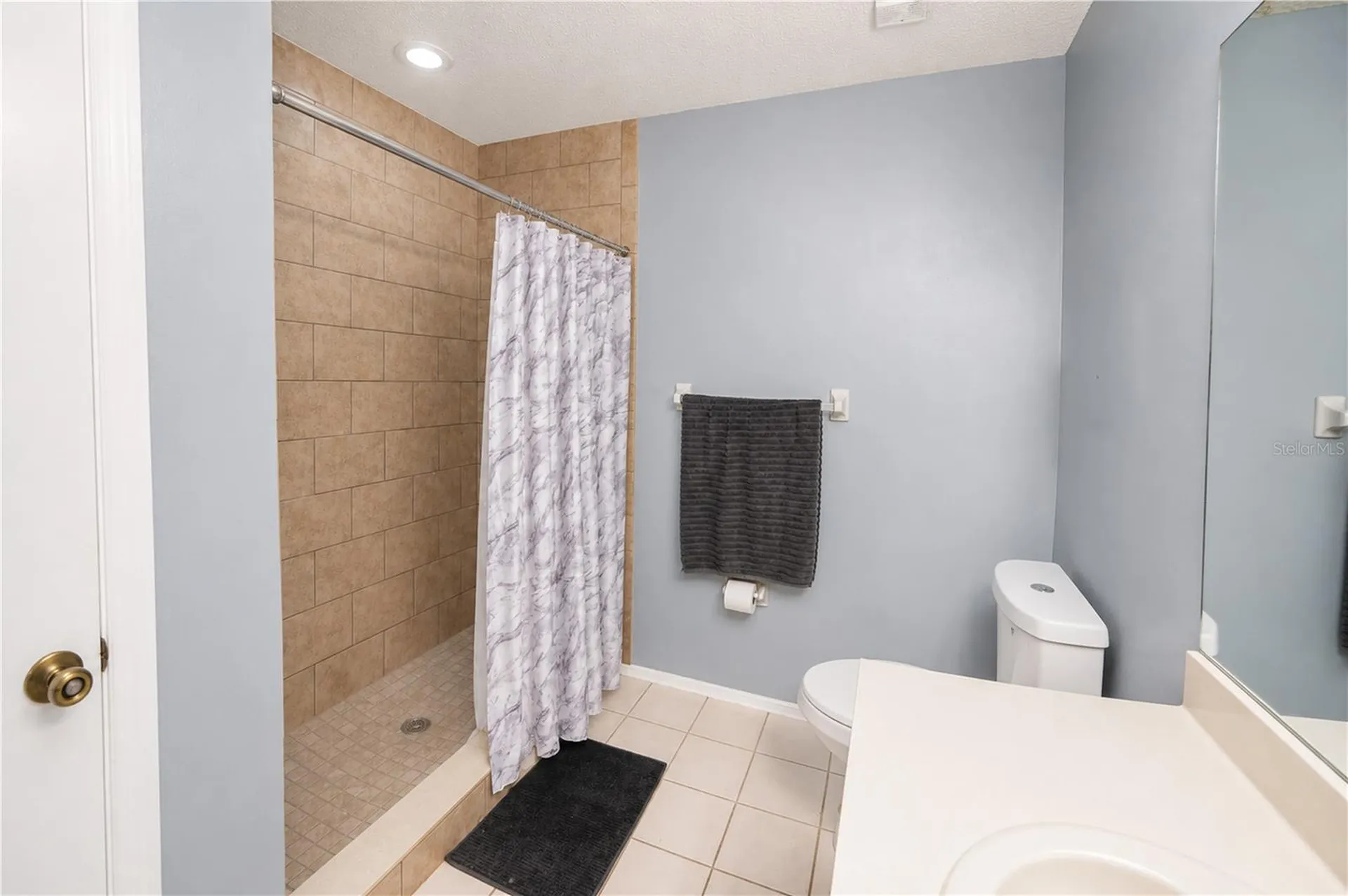 602 Saint Henry Drive Brandon FL 33511