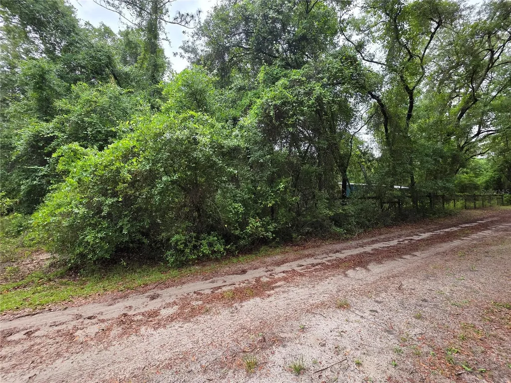 000 NE 138th Terrace Fort Mc Coy FL 32134