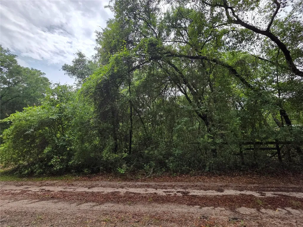 000 NE 138th Terrace Fort Mc Coy FL 32134