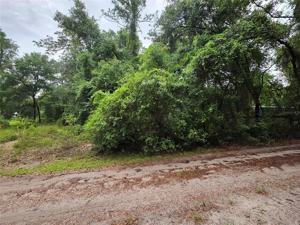 000 NE 138th Terrace Fort Mc Coy FL 32134