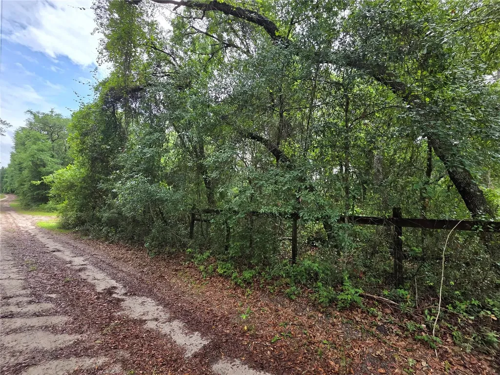 000 NE 138th Terrace Fort Mc Coy FL 32134