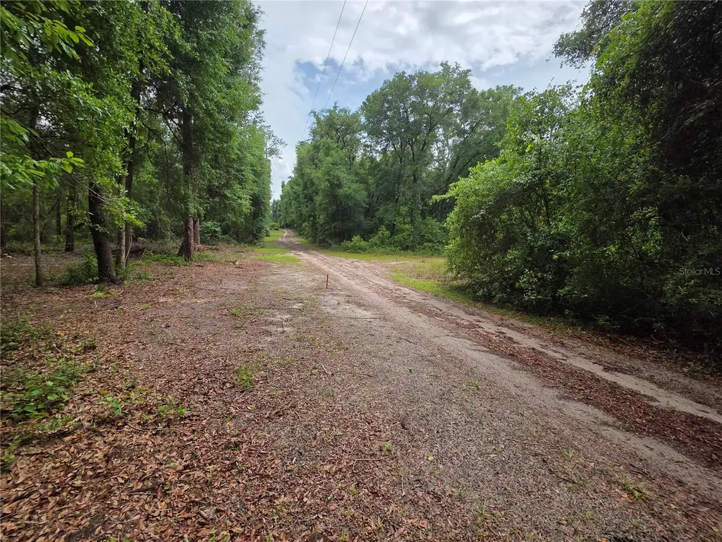 000 NE 138th Terrace Fort Mc Coy FL 32134