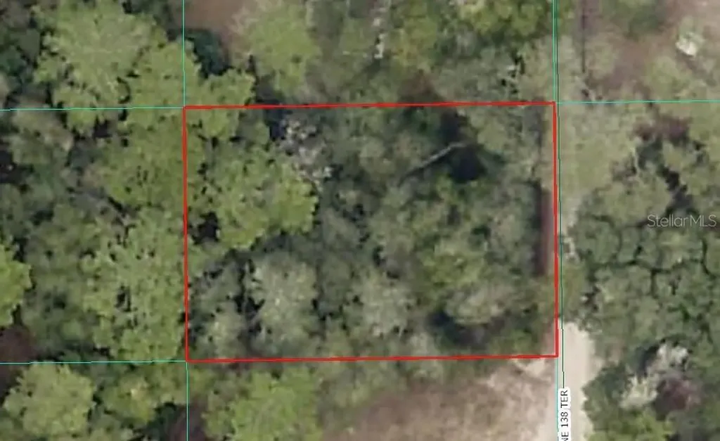 000 NE 138th Terrace Fort Mc Coy FL 32134