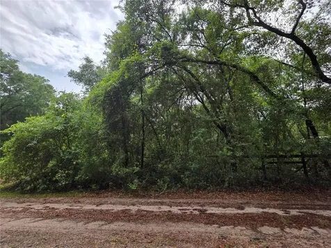 000 NE 138th Terrace Fort Mc Coy FL 32134