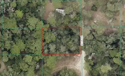 000 NE 138th Terrace Fort Mc Coy FL 32134