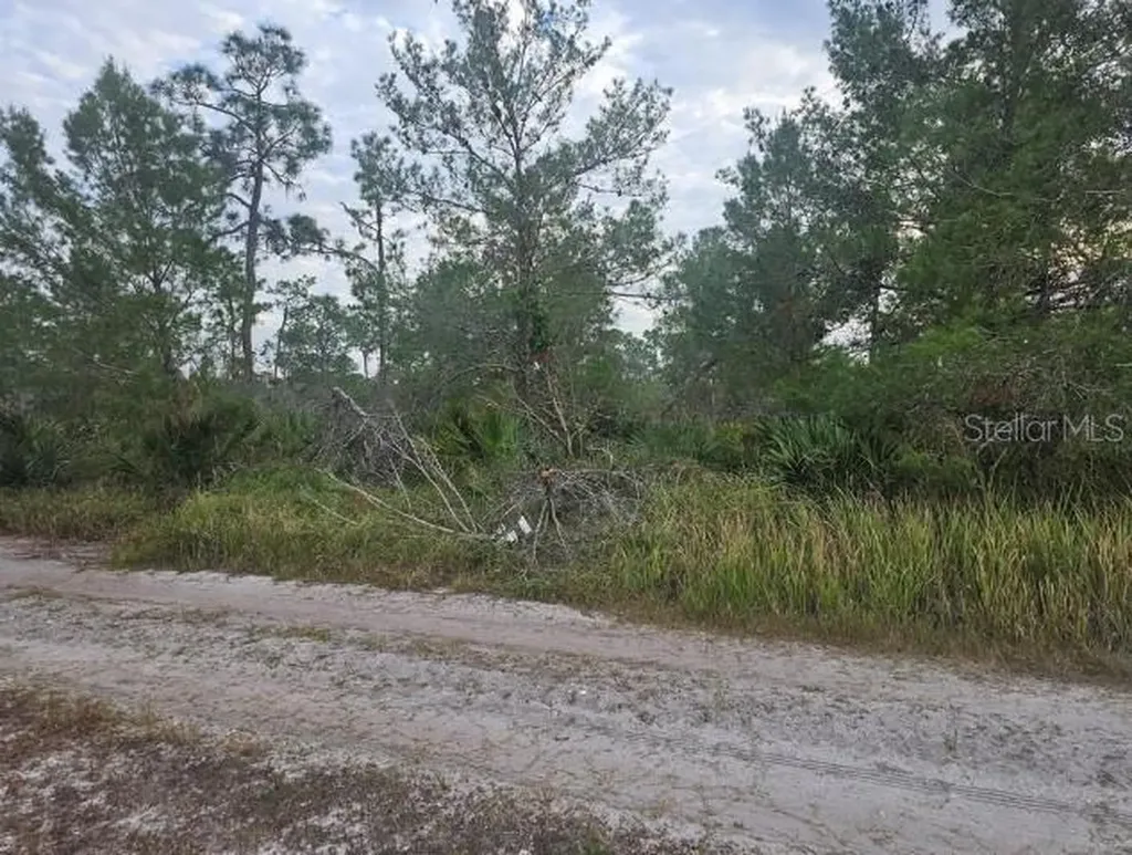 2217 Algonquin Drive Sebring FL 33875