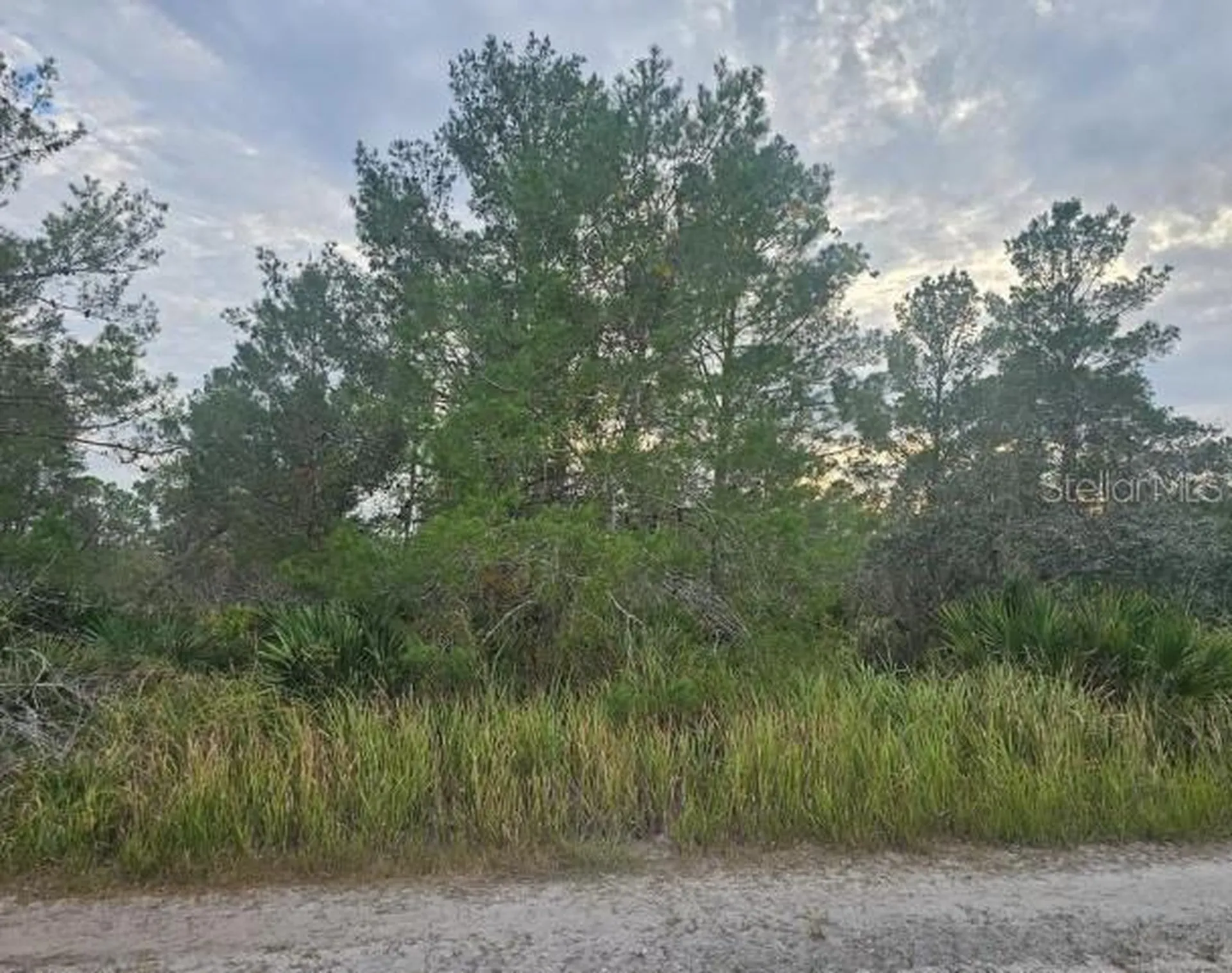 2217 Algonquin Drive Sebring FL 33875