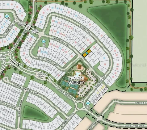 11192 Carding Mill Lane Winter Garden FL 34787