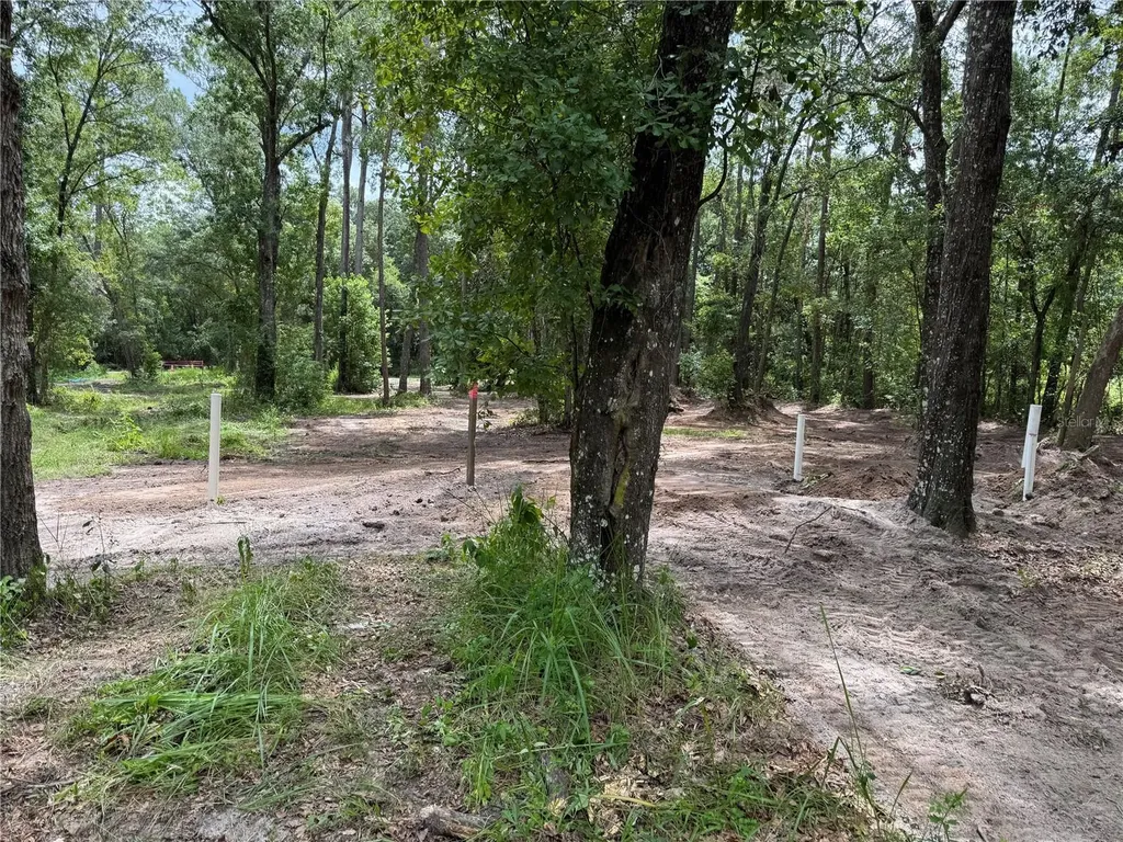 Tbd Waldo FL 32694