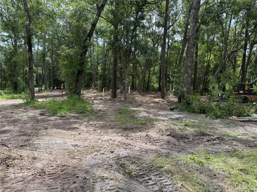 Tbd Waldo FL 32694
