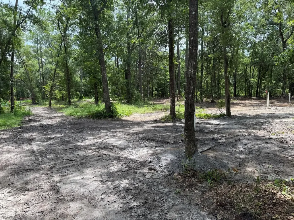 Tbd Waldo FL 32694