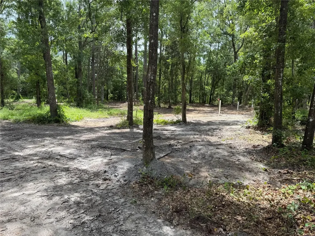 Tbd Waldo FL 32694