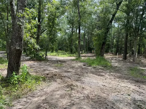 Tbd Waldo FL 32694