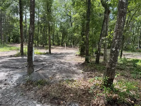 Tbd Waldo FL 32694