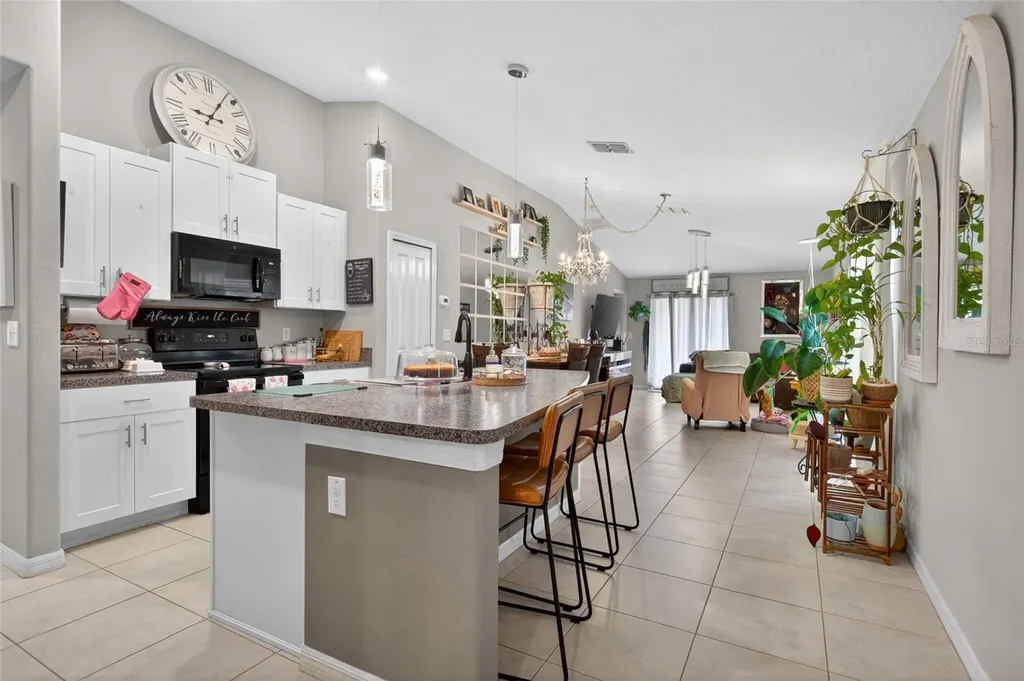 3915 Gainer Springs Avenue New Port Richey FL 34653