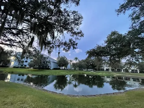 2437 Earlswood Court Brandon FL 33510