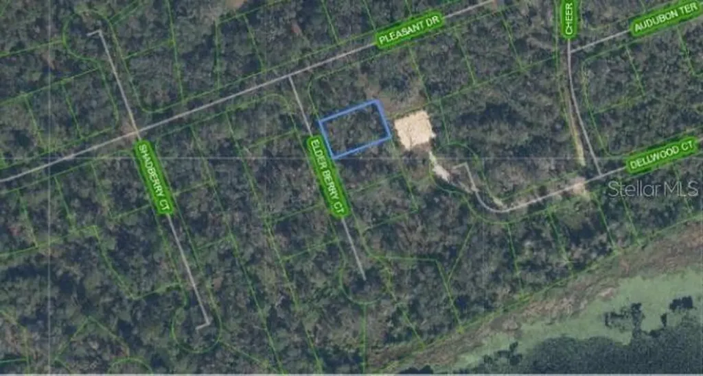 9408 Elder Berry Court Sebring FL 33875