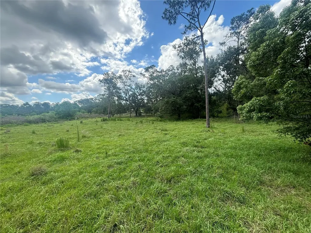 28651 Tupper Road Wesley Chapel FL 33545