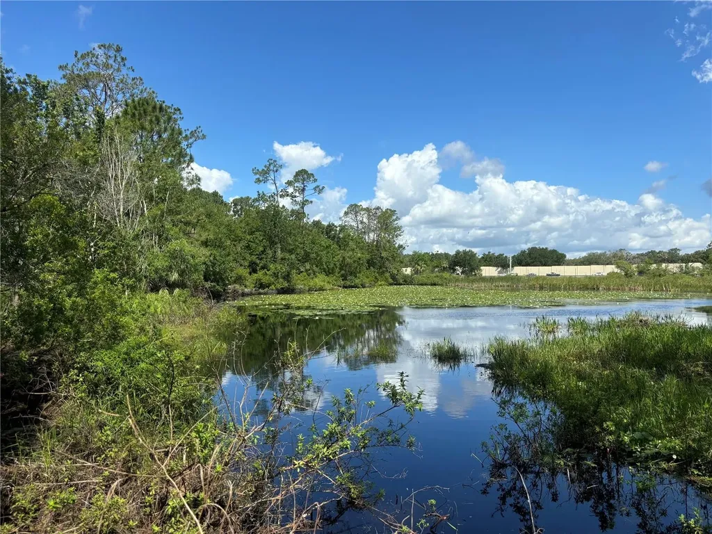 28651 Tupper Road Wesley Chapel FL 33545