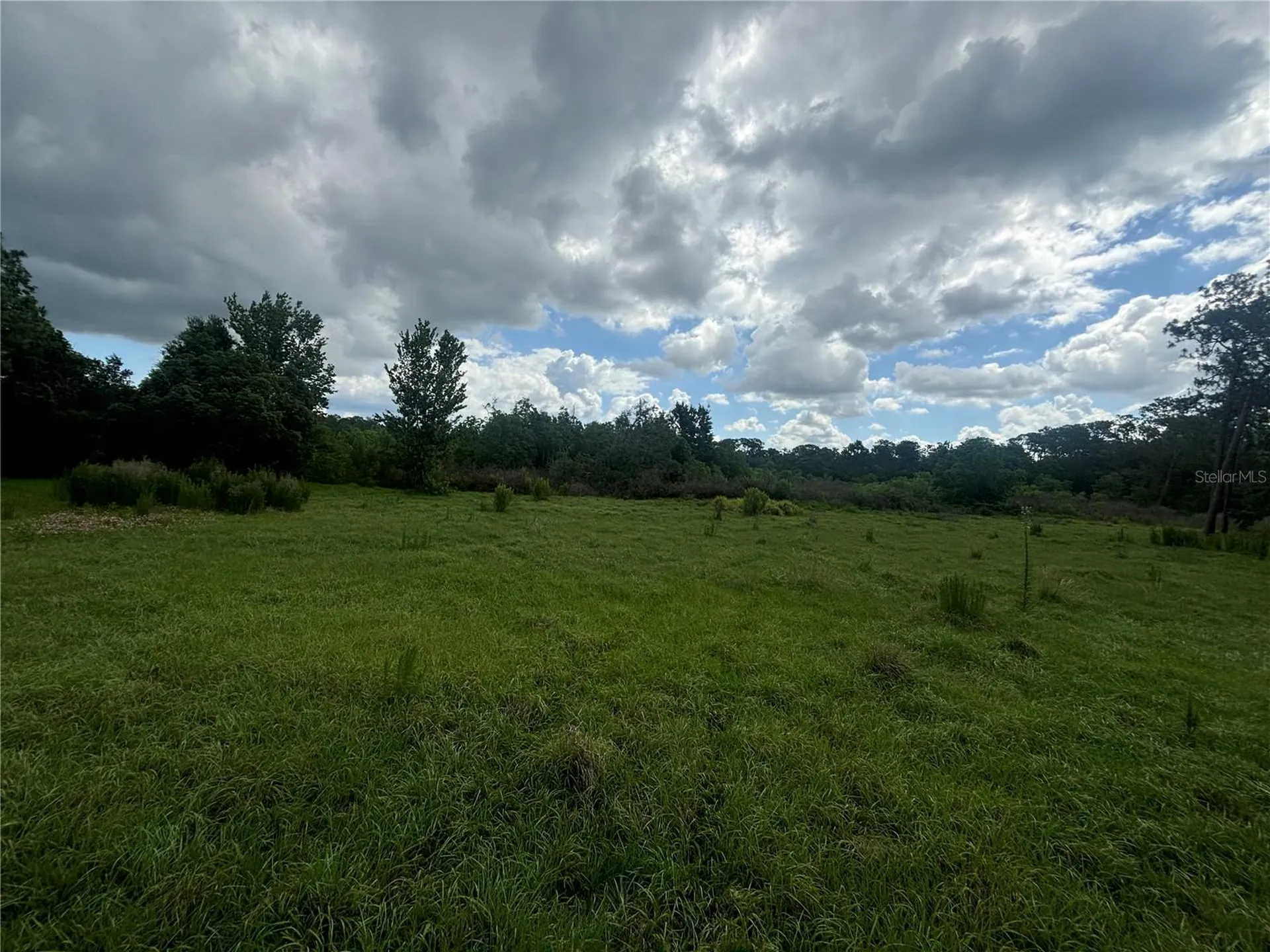 28651 Tupper Road Wesley Chapel FL 33545