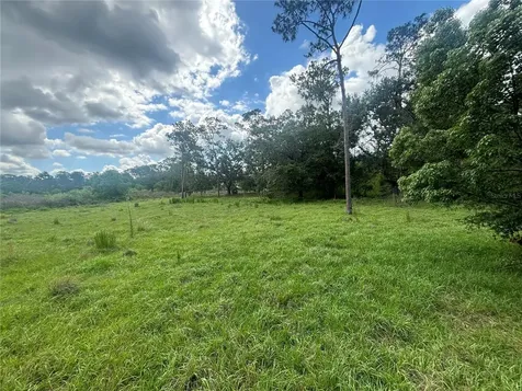 28651 Tupper Road Wesley Chapel FL 33545