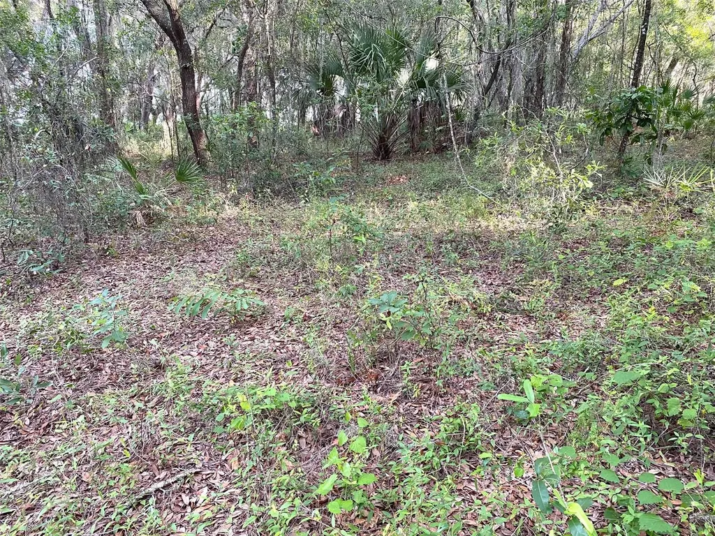 Lots 11.12 SW Shorewood Drive Dunnellon FL 34431