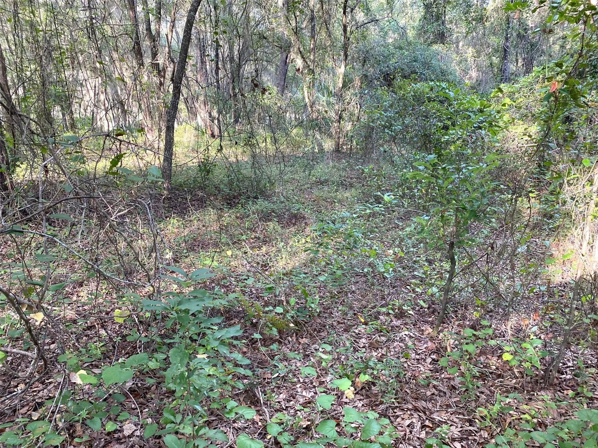 Lots 11.12 SW Shorewood Drive Dunnellon FL 34431