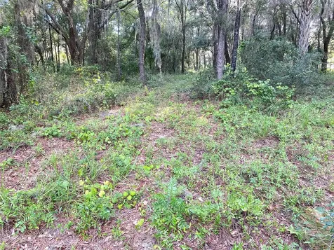 Lots 11.12 SW Shorewood Drive Dunnellon FL 34431